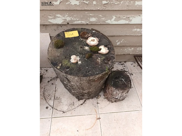 Lot 551 - houtblok. 2 stuks - afbeelding 1 van  4