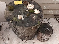 Lot 551 - houtblok. 2 stuks - afbeelding 1 van  4