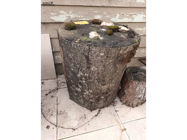 Lot 551 - houtblok. 2 stuks - afbeelding 2 van  4