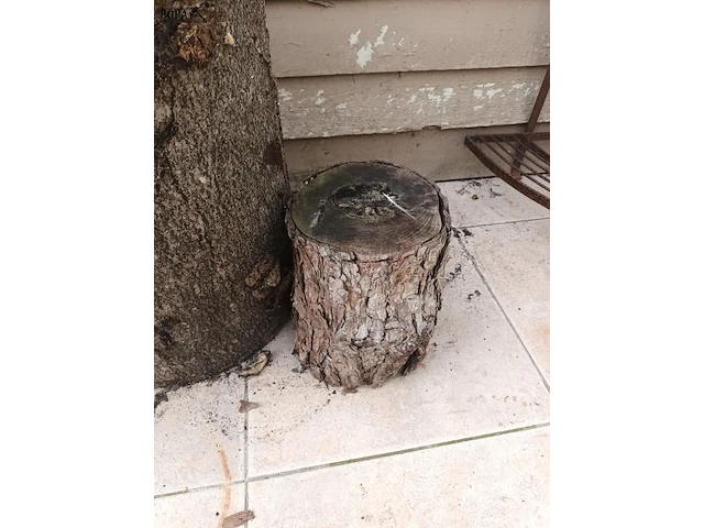 Lot 551 - houtblok. 2 stuks - afbeelding 3 van  4