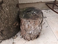 Lot 551 - houtblok. 2 stuks - afbeelding 3 van  4