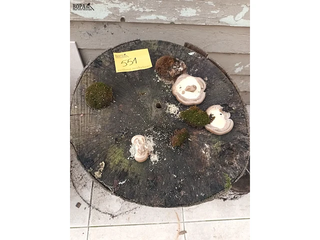 Lot 551 - houtblok. 2 stuks - afbeelding 4 van  4