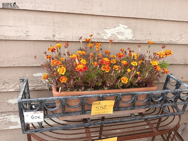 Lot 552 - bloembakhouder en bloembak - afbeelding 1 van  4