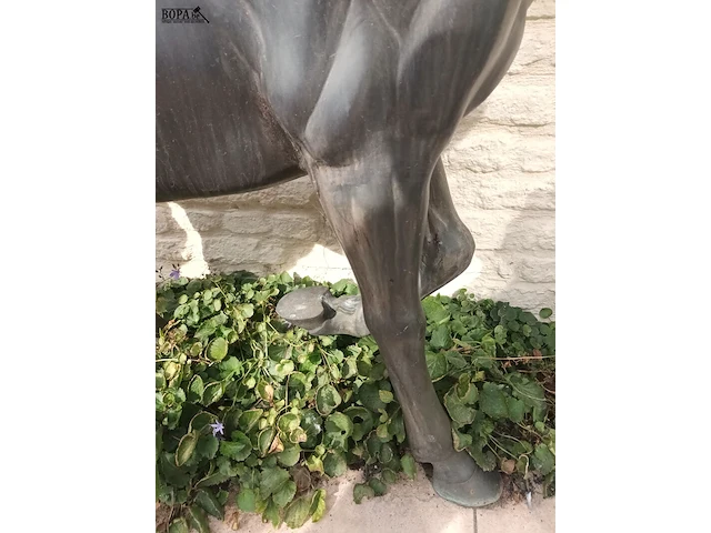 Lot 560 - paard in brons - afbeelding 3 van  7