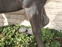 Lot 560 - paard in brons - afbeelding 3 van  7