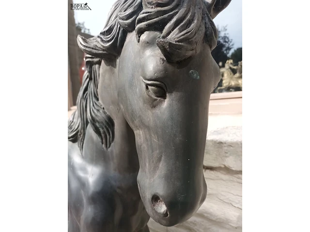 Lot 560 - paard in brons - afbeelding 7 van  7