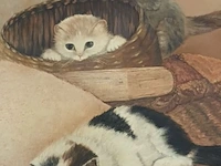 Lot 566 - schilderij met poezen - afbeelding 2 van  6