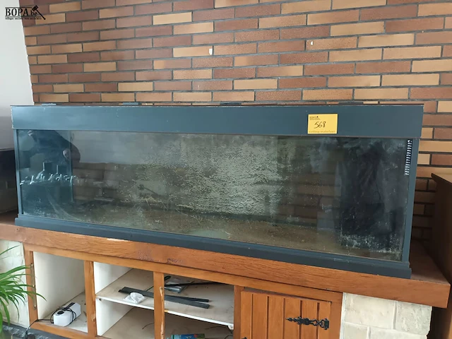 Lot 568 - aquarium - afbeelding 1 van  4