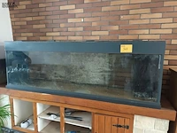 Lot 568 - aquarium - afbeelding 1 van  4