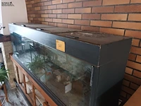 Lot 568 - aquarium - afbeelding 3 van  4
