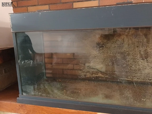 Lot 568 - aquarium - afbeelding 4 van  4