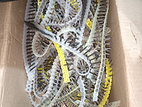 Lot 57 - gipsplaatschroeven op band - afbeelding 2 van  3