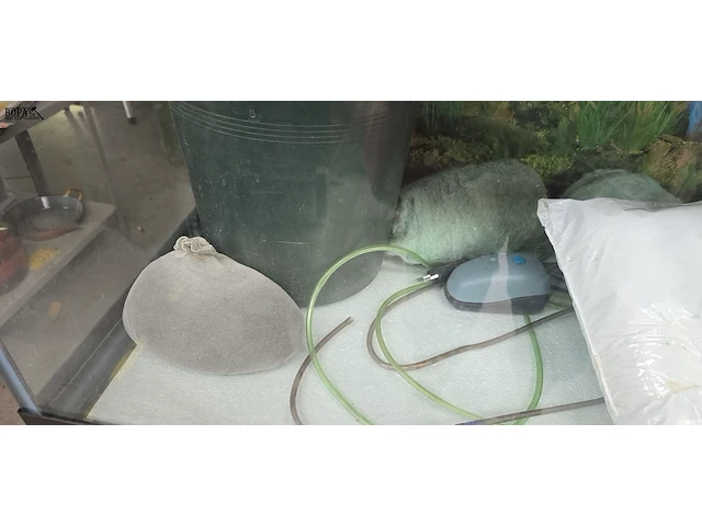 Lot 61 - grote aquarium op kast met toebehoren - afbeelding 5 van  7