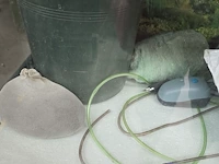 Lot 61 - grote aquarium op kast met toebehoren - afbeelding 5 van  7