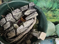 Lot 61 - grote aquarium op kast met toebehoren - afbeelding 6 van  7