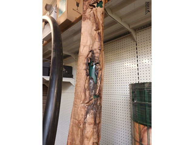 Lot 66 - restrollen omheiningsdraad. 8 stuks - afbeelding 6 van  6