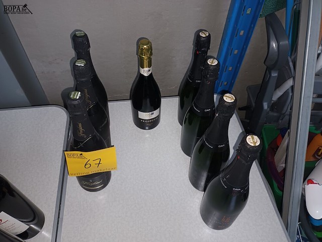 Lot 67 - fles cava. 8 stuks - afbeelding 5 van  5
