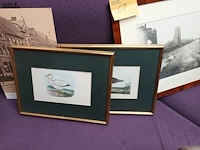 Lot 67 - kaders. 4 stuks - afbeelding 2 van  4