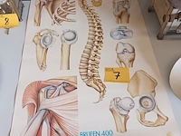 Lot 7 - medische poster brufen 400