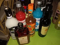 Lot 7 - sterke dranken - 12 flessen - afbeelding 2 van  2