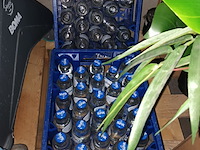 Lot 71 - bier, water en leeggoed - afbeelding 2 van  3