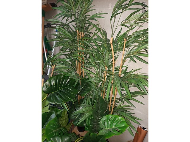 Lot 72 - kunstplanten en vuilnisbakken - afbeelding 3 van  5