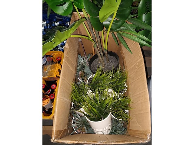 Lot 72 - kunstplanten en vuilnisbakken - afbeelding 4 van  5