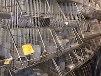 Lot 73 - koppelstukken en spanringen - afbeelding 1 van  6