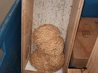 Lot 78 - vogelkastjes - afbeelding 4 van  4