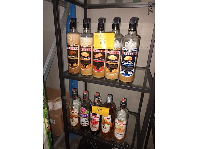 Lot 81 - aangebroken flessen filliers. 10 stuks - afbeelding 1 van  3