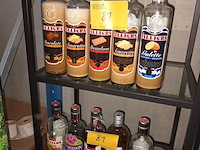 Lot 81 - aangebroken flessen filliers. 10 stuks - afbeelding 1 van  3