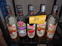 Lot 81 - aangebroken flessen filliers. 10 stuks - afbeelding 3 van  3