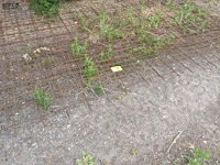 Lot 88 - betonnetten. 2 stuks - afbeelding 1 van  3