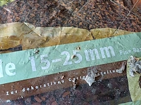 Lot 9 - pijnboomschors - 5 stuks - afbeelding 2 van  3