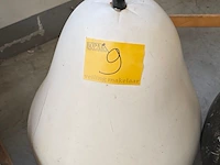 Lot 9 - reuze tuinpeer en tuin appel - afbeelding 2 van  3