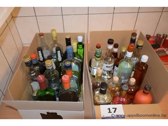 Lot aangebroken flessen div sterke drank - afbeelding 1 van  1