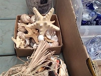 Lot allerlei decoratiemateriaal zee - afbeelding 2 van  3