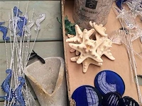 Lot allerlei decoratiemateriaal zee - afbeelding 2 van  3