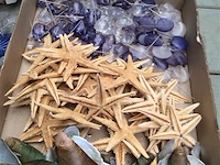 Lot allerlei decoratiemateriaal zee - afbeelding 3 van  3