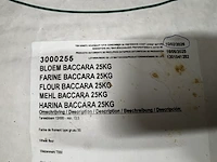 Lot bloem baccara - afbeelding 3 van  3