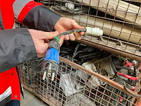 Lot bouwlampen - afbeelding 8 van  8