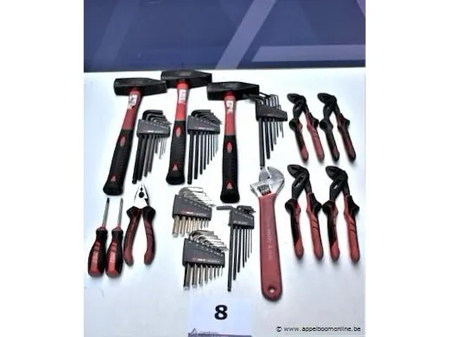 Lot div handgereedschappen holex wo hamers, tangen, sets inbussleutels, enz - afbeelding 1 van  3
