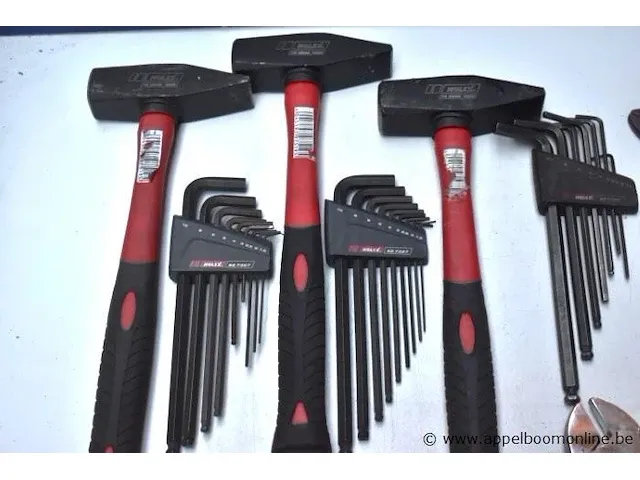 Lot div handgereedschappen holex wo hamers, tangen, sets inbussleutels, enz - afbeelding 2 van  3