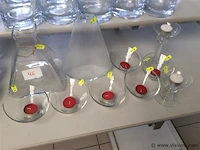 Lot divers glas - afbeelding 1 van  3