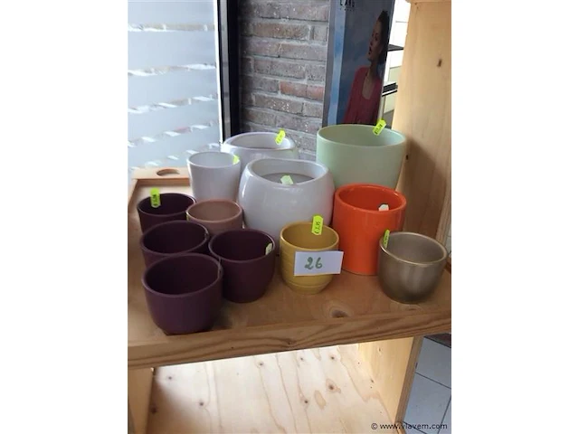Lot diverse bloempotjes - afbeelding 1 van  2