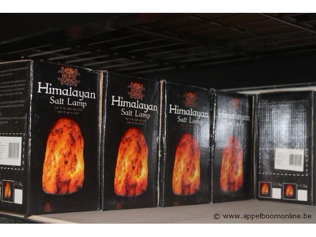 Lot diverse himalayan lampen - afbeelding 4 van  4