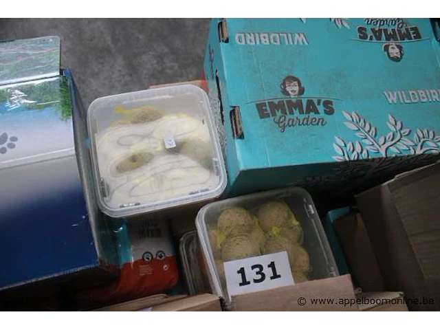 Lot diverse wo. mezenbollen, vogelhuisjes, etc - afbeelding 4 van  4