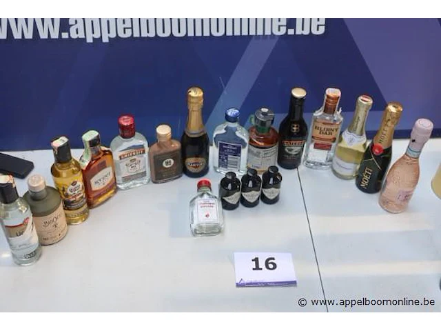 Lot flesjes sterke drank - afbeelding 1 van  3
