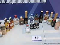 Lot flesjes sterke drank - afbeelding 1 van  3