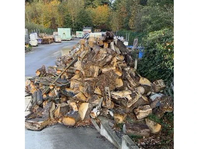 Lot hout, +/- 25 kuub - afbeelding 1 van  3